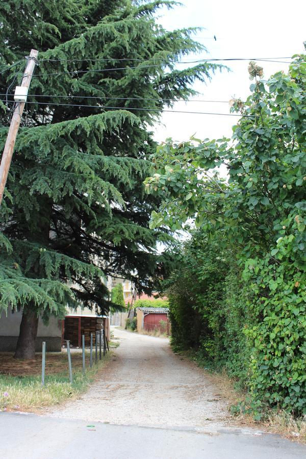 Two Bedroom Apartment Near Centre オフリド エクステリア 写真